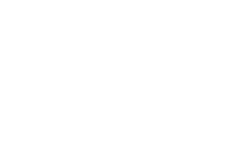 trm_van_byTankrsm25weiss_12